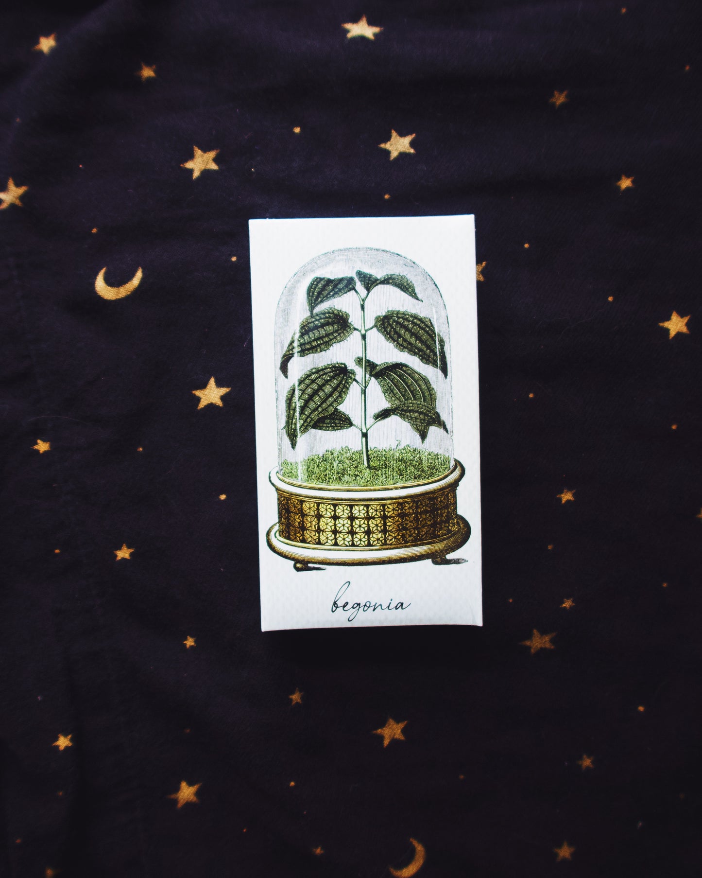 Botanist Matchbox