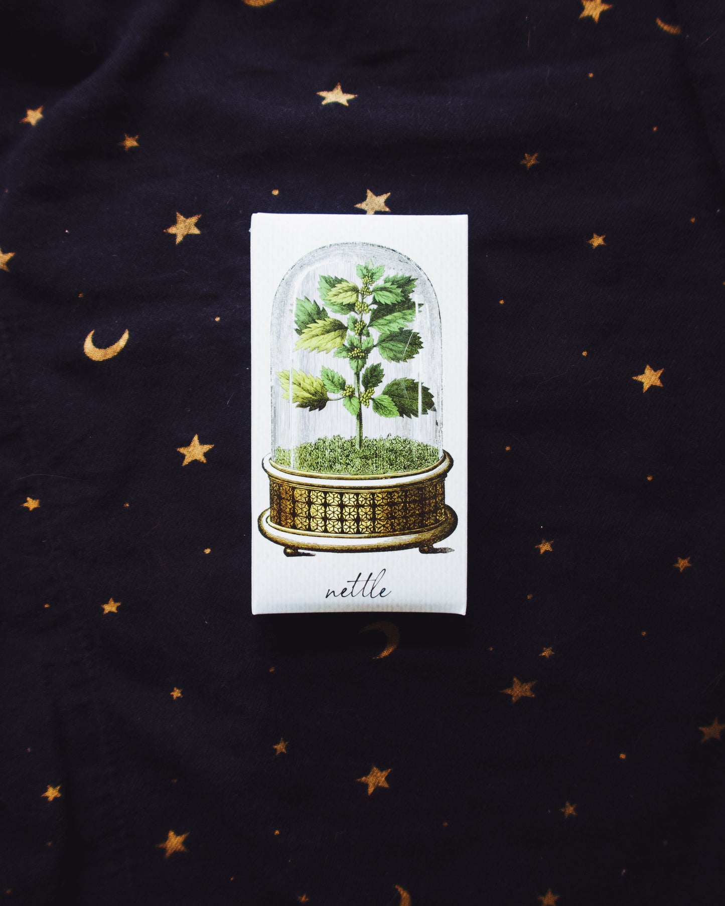 Botanist Matchbox