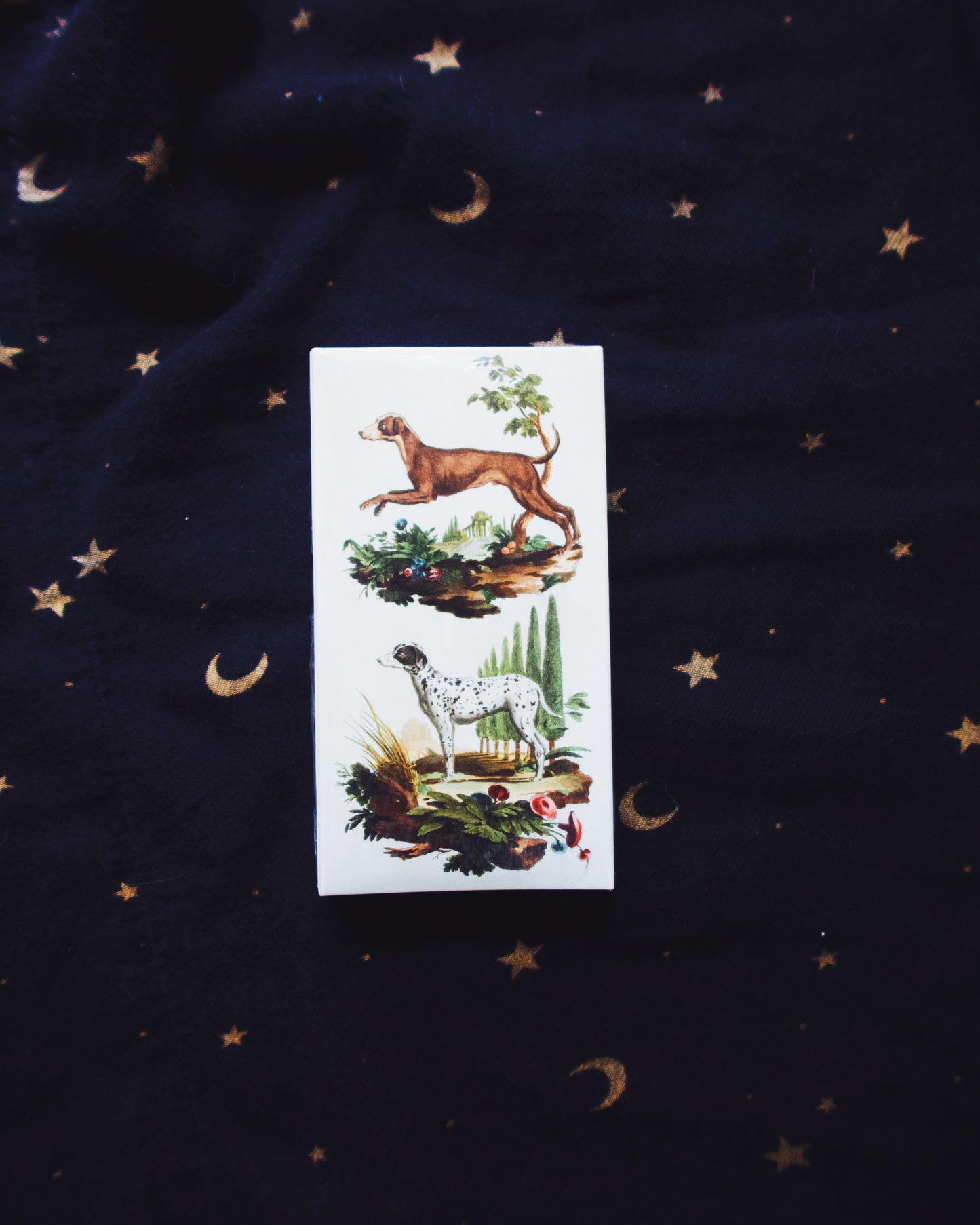 Italian Dogs Matchbox