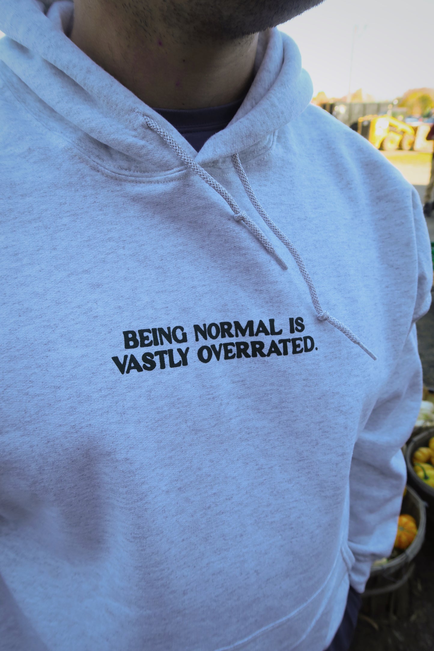 Halloweentown Hoodie in Ash