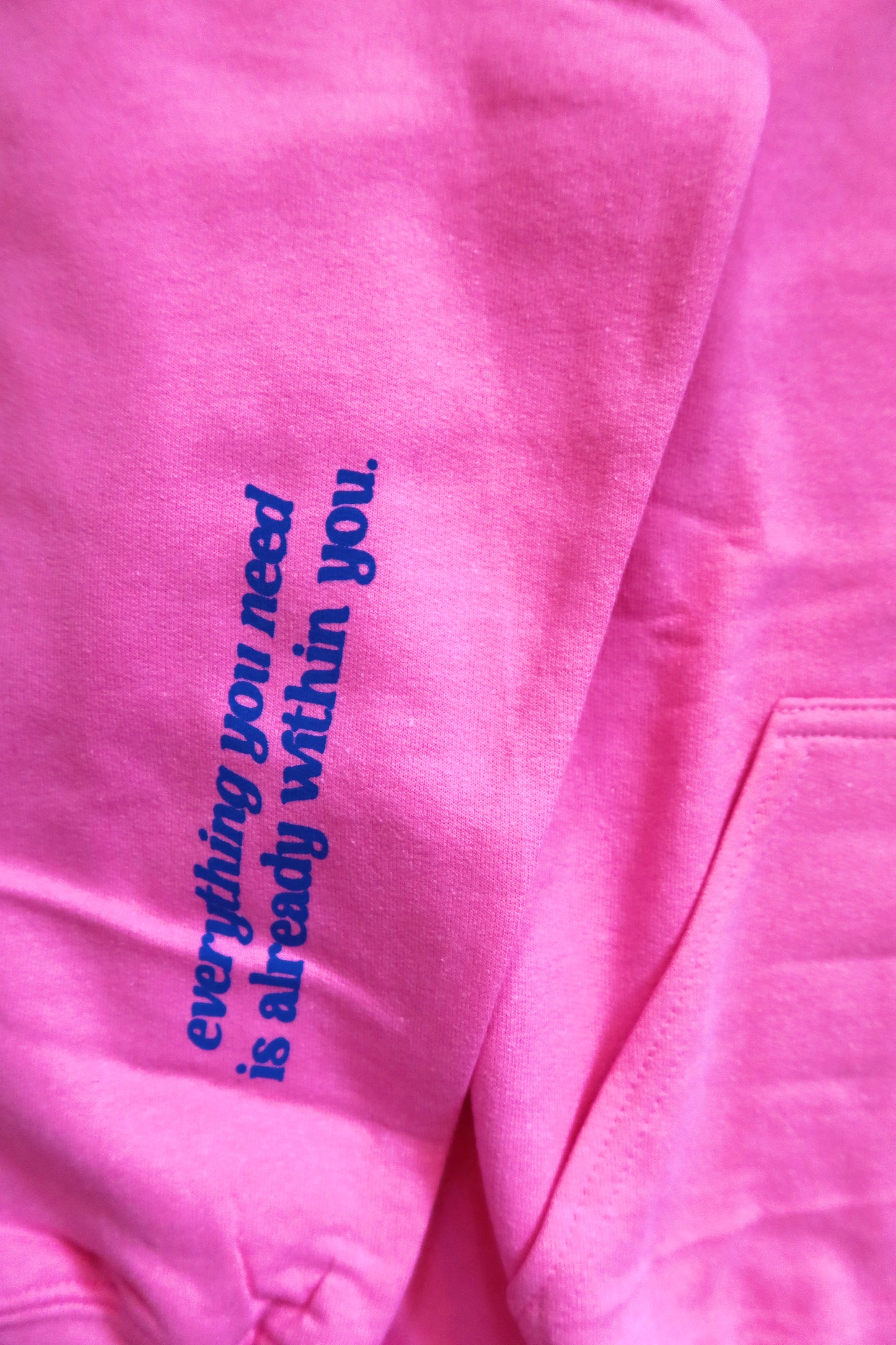 Not Subtle Hoodie in Pink