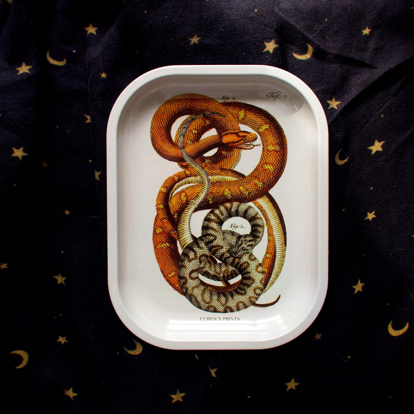 Snake Tray