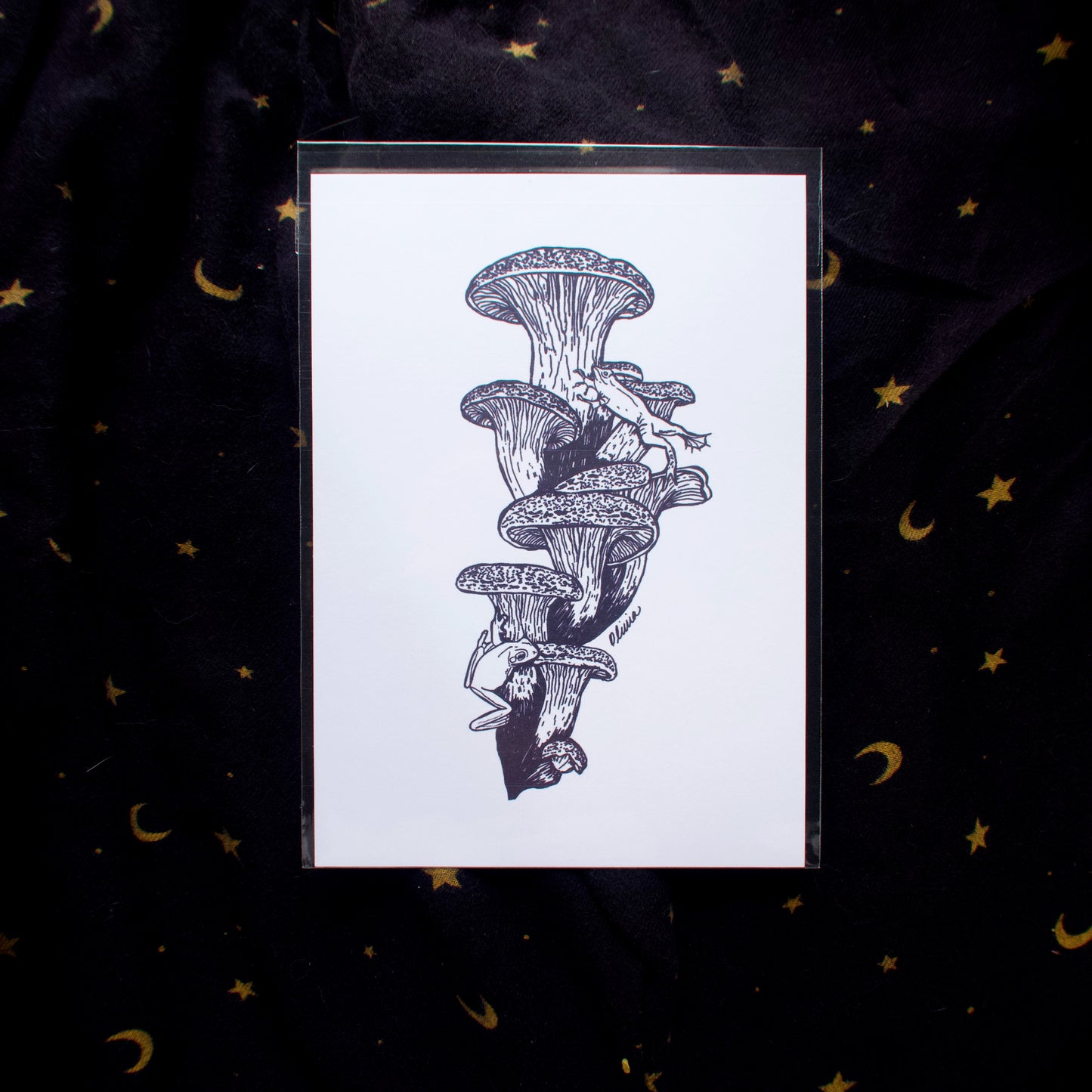 Frogs Jumping Mini Print