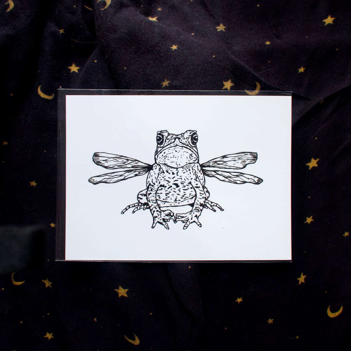 Frog Fairy Mini Print