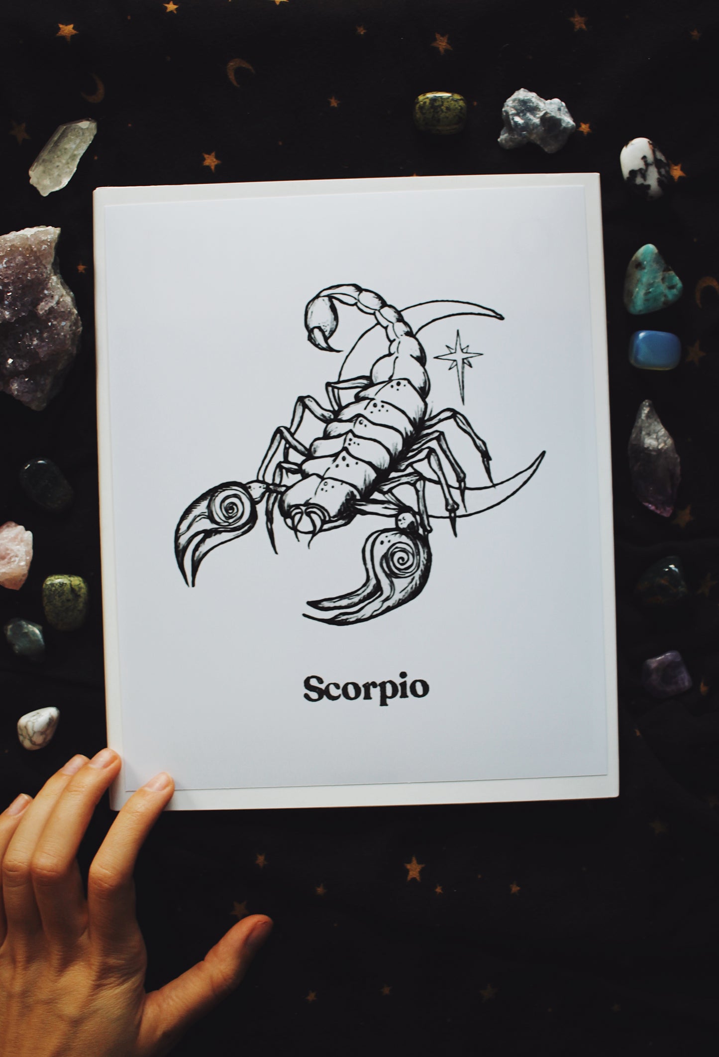 The Scorpio Zodiac Print