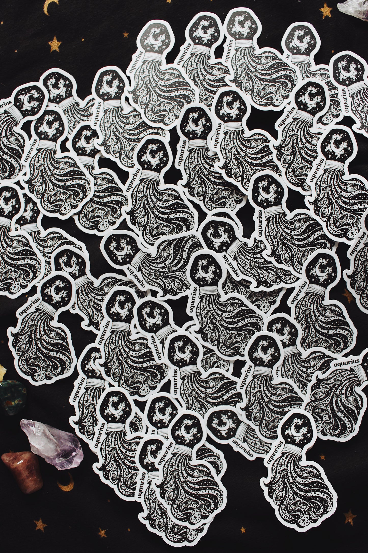 The Aquarius Sticker