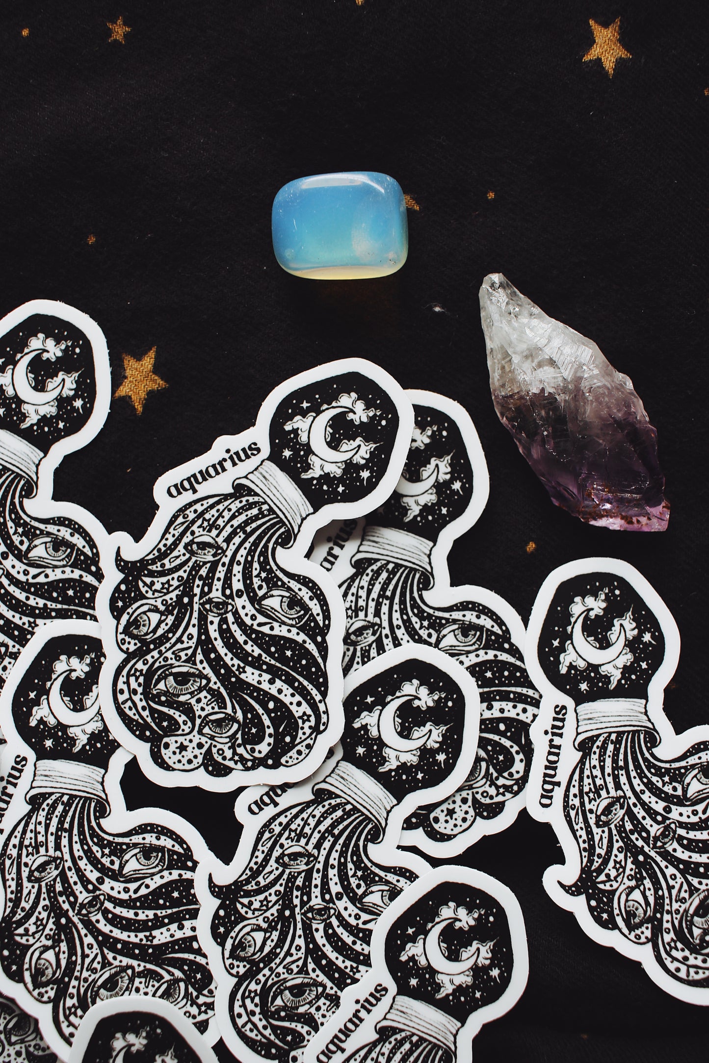 The Aquarius Sticker