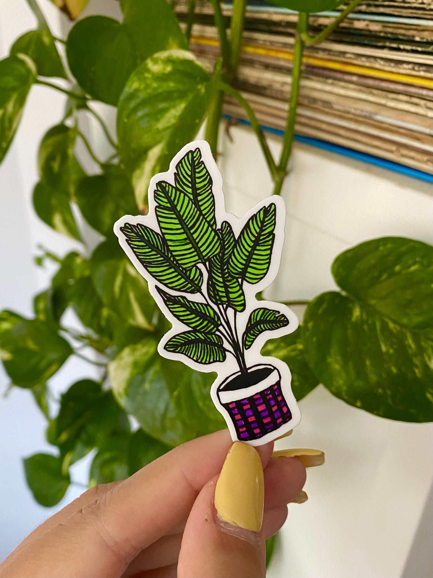 The Julia Sticker