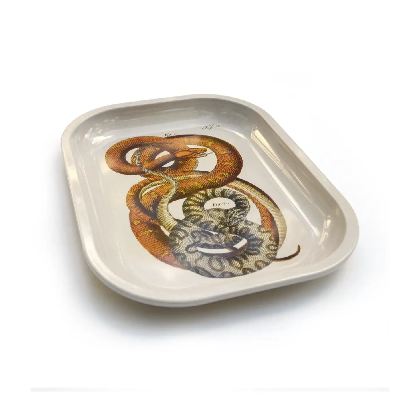 Snake Tray