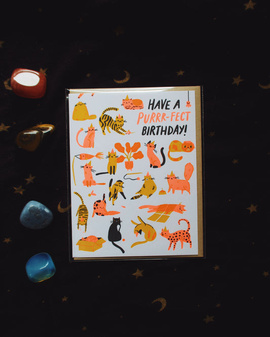 Cat Lover Birthday Card