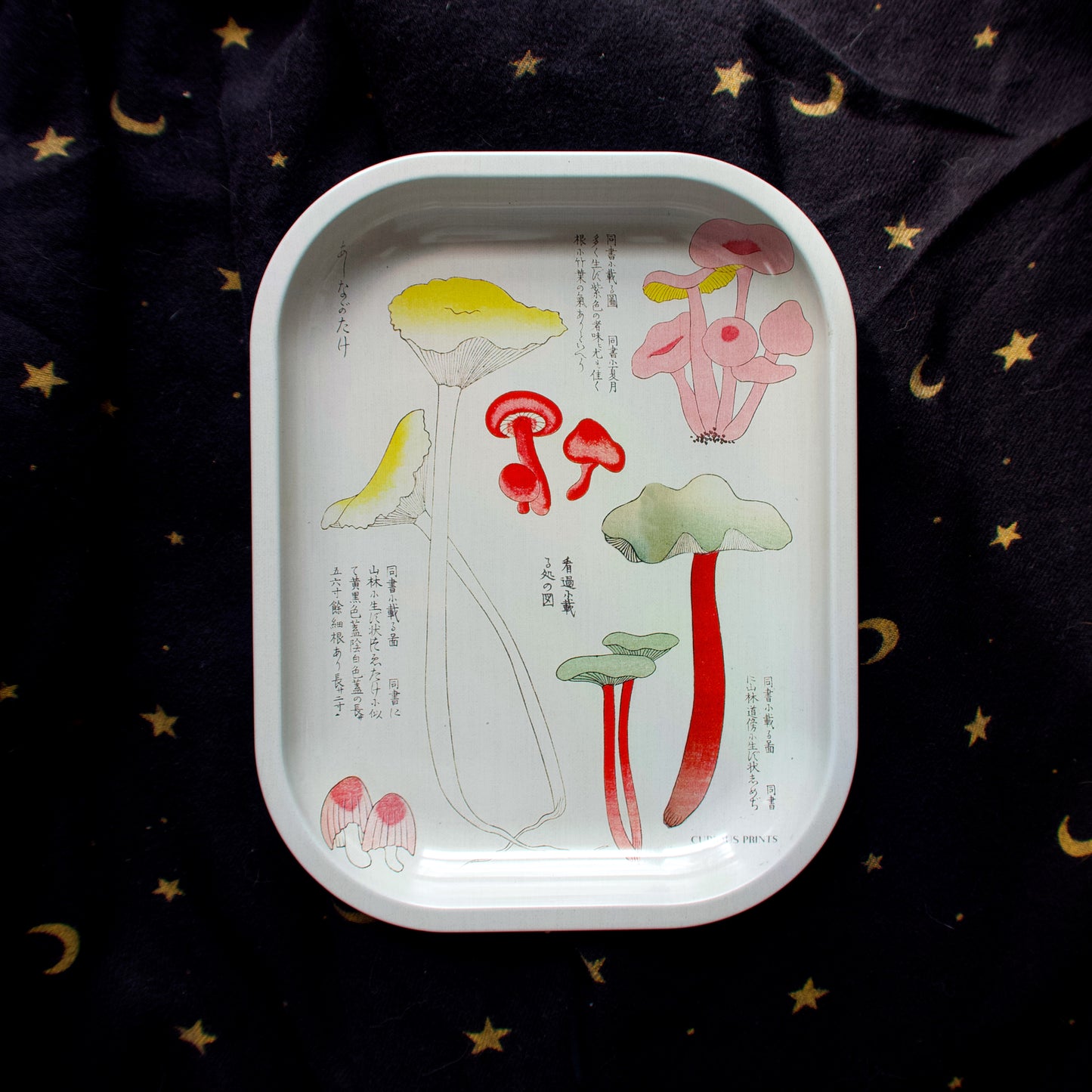 Japanese Mushroom Tray