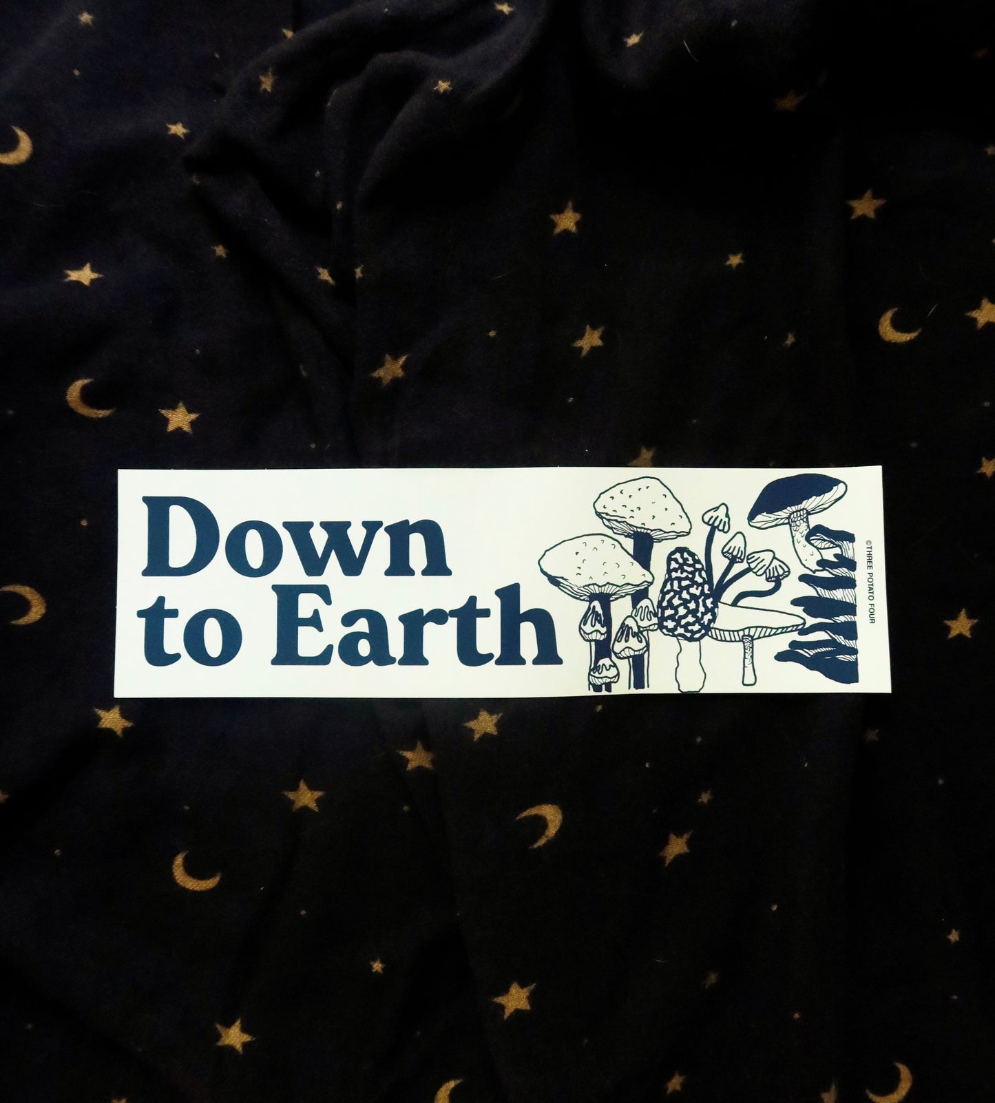 Down To Earth Magnet