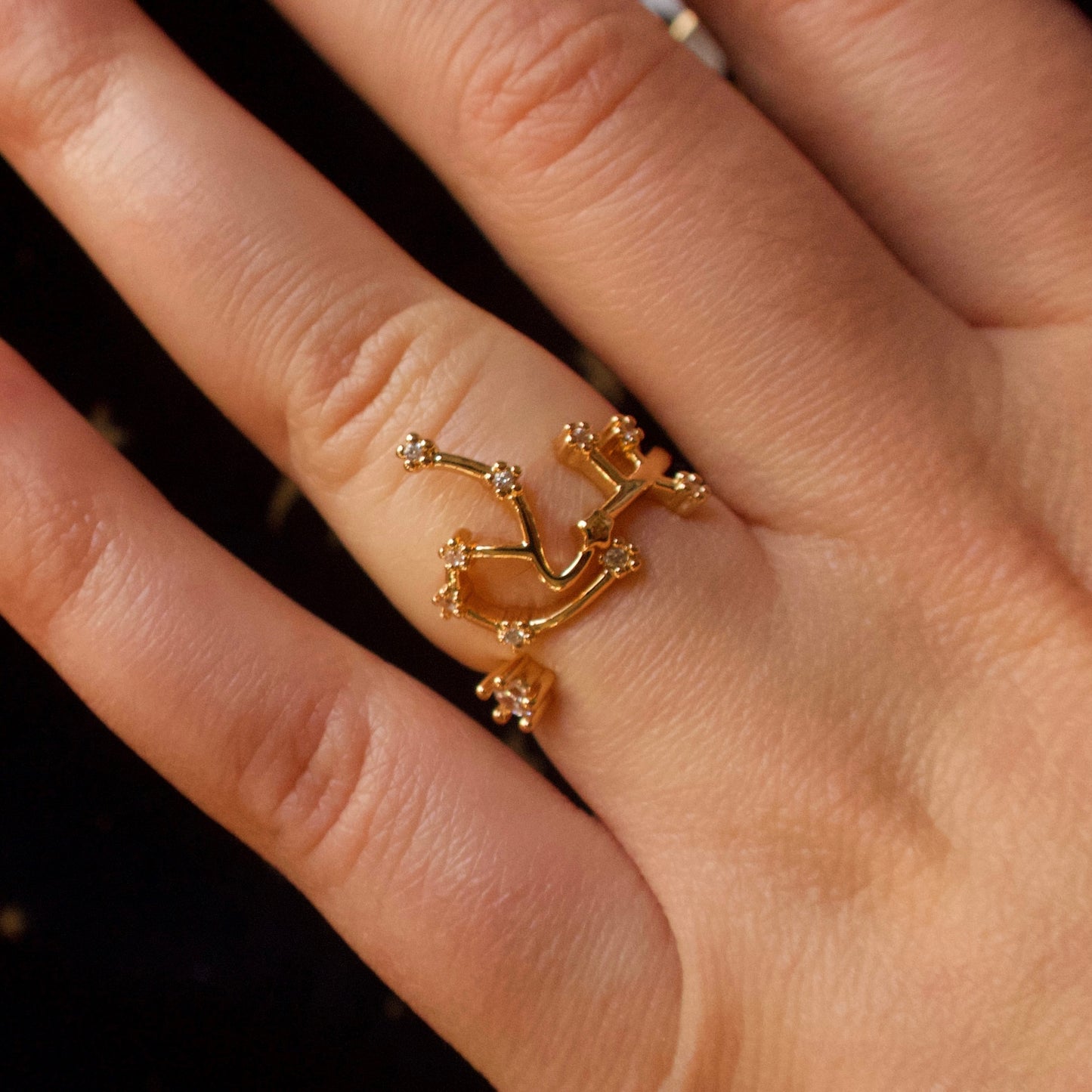 Aquarius Constellation Ring