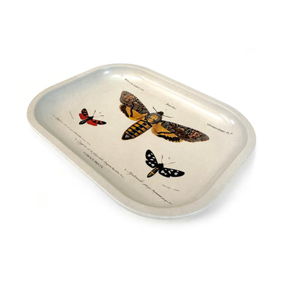 Sphinx Moth Tray