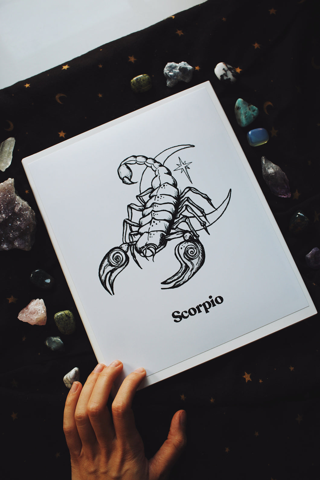 The Scorpio Zodiac Print