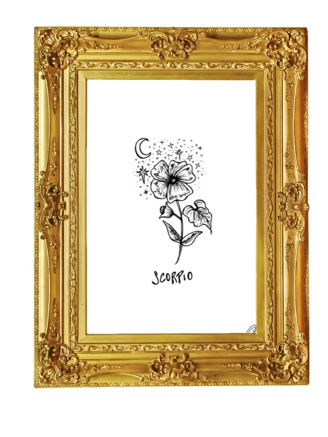 Scorpio Flower Art Print